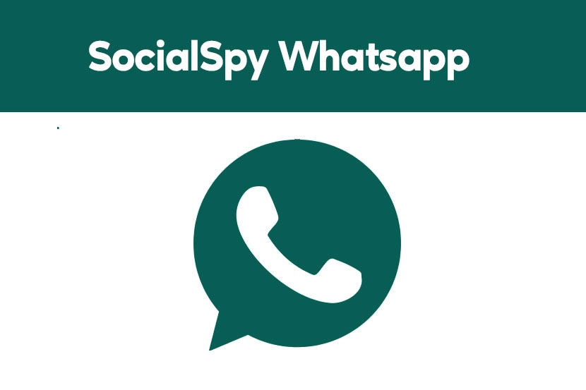 How to use Social Spy WhatsApp
